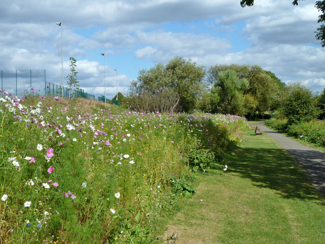 Flowery bank, Crane Park