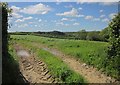 Field near Venn Farm