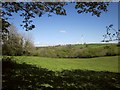 Countryside near Pensilva