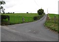 Private farm lane leading over a drumlin from the Millvale Road