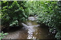 North Devon : River Bray