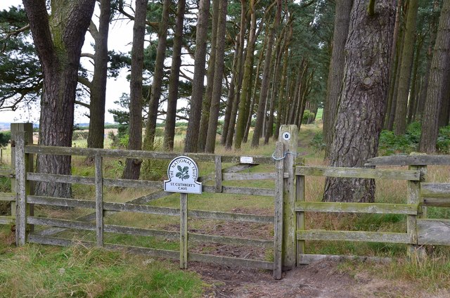 Gate for St Cuthbert's Cave Wood