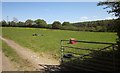 Field near Burnt Wood