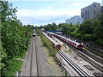 TQ2081 : The railway at North Acton by Marathon