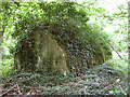 WW2 air raid shelter in the woods