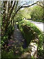 Stream at Kerney Bridge