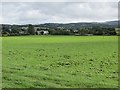 Water of  Girvan floodplain