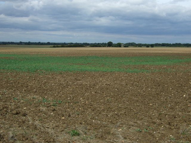 Field off Longholme Road