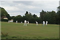 View of a cricket match in Matching Green