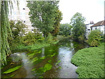 TQ0584 : Uxbridge, River Colne by Mike Faherty