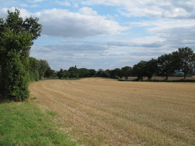 Recently harvested wheat field near Braxted Lane, Great Totham