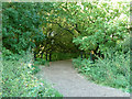 Bridge over former Hounslow Powder Mills leat