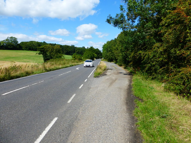 Layby on New Odiham Road