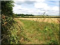 Fruit & Footpath