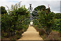 SZ5194 : Walled Garden at Osborne House by Peter Trimming