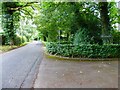 Looking along Upper Anstey Lane from the drive at "Woodlands"