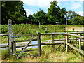 Footpath crosses farm track to reach New Odiham Road