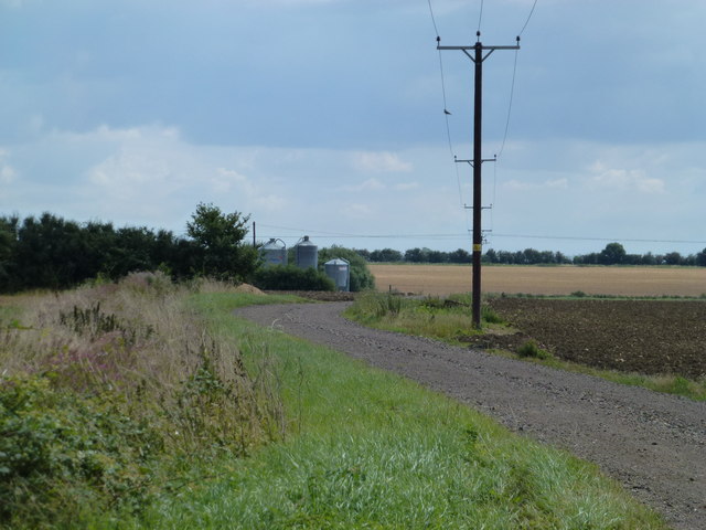 Poles in a line near Hemington House