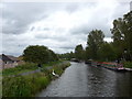 Swans on the canal near the Falkirk Wheel