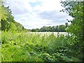 Cowley, Little Britain Lake