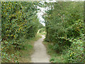 Public footpath towards Hanworth