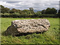 Brynsiencyn Burial Chamber