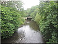 River Etherow east of The Hague