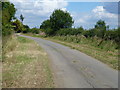 TL1184 : Country Lane with mown verges near Rectory Farm by Richard Humphrey