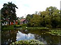 Pond, Nazeing