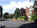 Rotton Park Road, Edgbaston