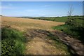 Arable field near Queena Lodge