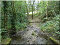 Stream flowing down to the Teifi at Castell Pyr