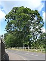 Mid section of Turretbank Road