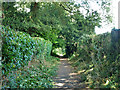 Ancient ditch and bank north of Chichester