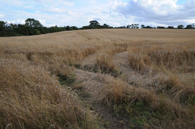 Arable land near Pipewell