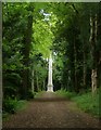 SP9310 : The Obelisk (or Nell Gwynn's Monument), Tring Park by Rob Farrow