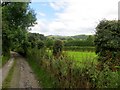 Track leading to the Pendle Way