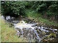 Weir on Pendle Water