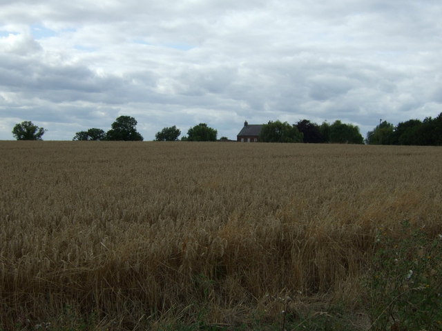 Crop field, Hartford Hill