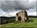 Farm ruin at High Lees, Hathersage (I)