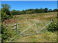 Field gate