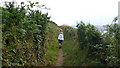 On the Wales Coast Path near Tresaith, Ceredigion