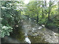 The Afon Gwili