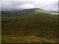 NN3703 : North-east slope of Maol nan Aighean near Ben Lomond by ian shiell