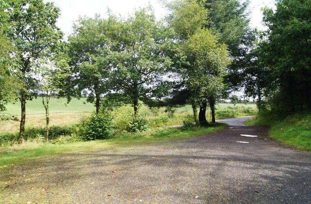 Parking area - Lydford Forest
