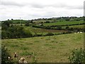 Drumlins west of the Moneyslane Road