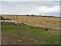 NO8577 : Harvested barley at Bellfield by M J Richardson