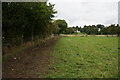 Path leading to Kirkby Overblow