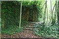 Ruins from Horsley Hall Pioneer Corps Camp