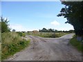 East Knighton, bridleway junction